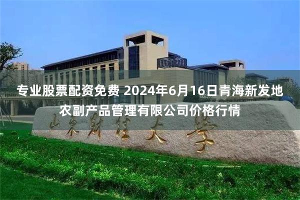 专业股票配资免费 2024年6月16日青海新发地农副产品管理有限公司价格行情