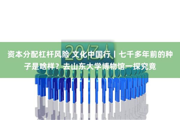 资本分配杠杆风险 文化中国行丨七千多年前的种子是啥样？去山东大学博物馆一探究竟