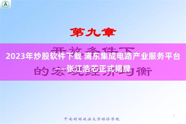 2023年炒股软件下载 浦东集成电路产业服务平台——张江浩芯正式揭牌