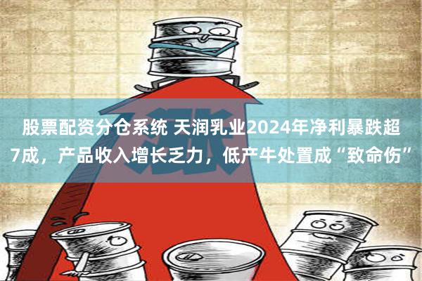 股票配资分仓系统 天润乳业2024年净利暴跌超7成，产品收入增长乏力，低产牛处置成“致命伤”